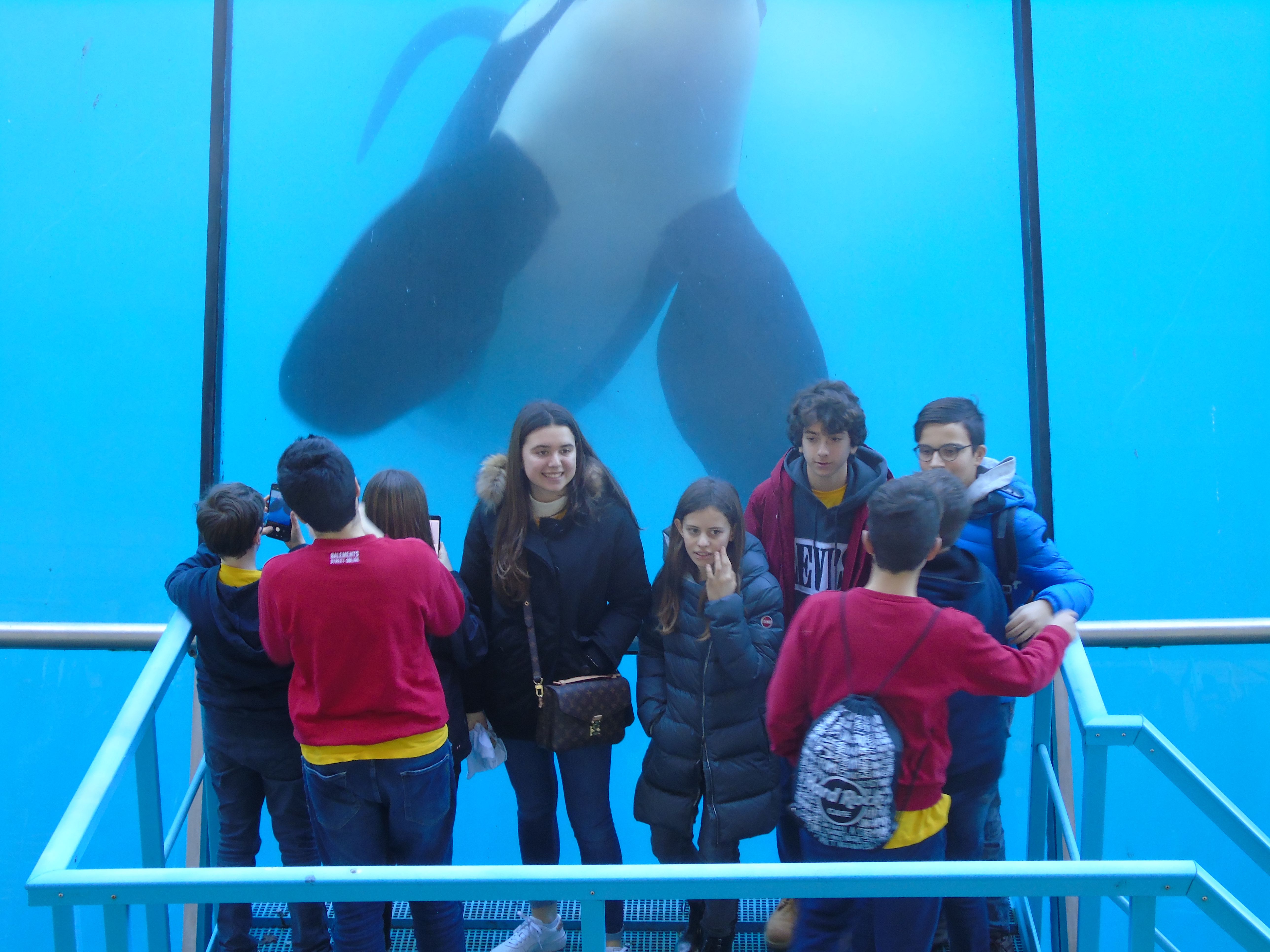 Marineland 2019